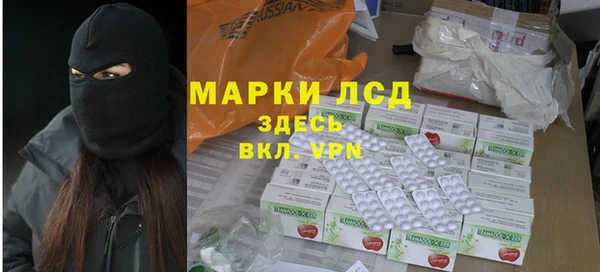стафф Каменногорск