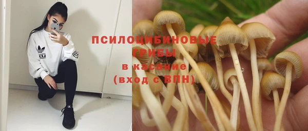 марихуана Каменка