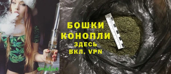 стафф Каменногорск